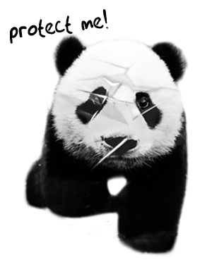 panda-icon